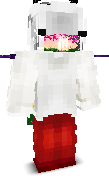 User's Minecraft appearance