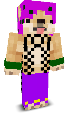 User's Minecraft appearance