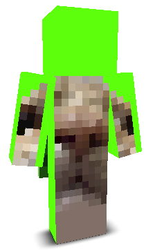 User's Minecraft appearance