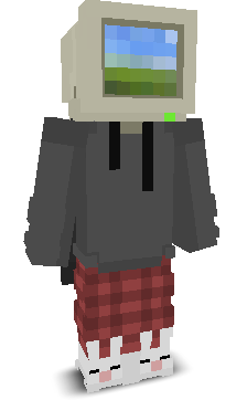User's Minecraft appearance
