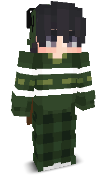 User's Minecraft appearance