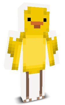 User's Minecraft appearance