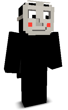 User's Minecraft appearance