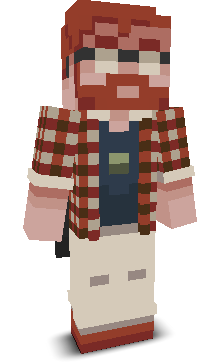 User's Minecraft appearance