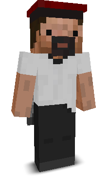 User's Minecraft appearance
