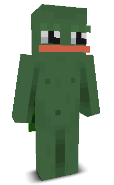 User's Minecraft appearance