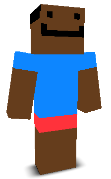 User's Minecraft appearance