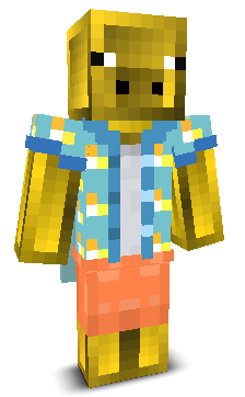 User's Minecraft appearance