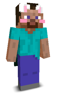 User's Minecraft appearance