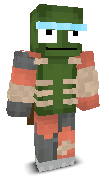 User's Minecraft appearance