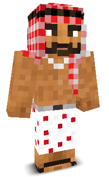 User's Minecraft appearance