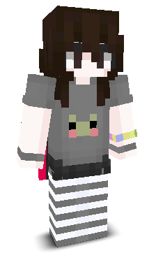 User's Minecraft appearance
