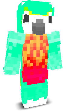User's Minecraft appearance