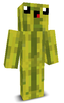 User's Minecraft appearance
