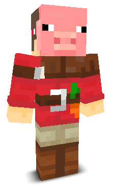 User's Minecraft appearance