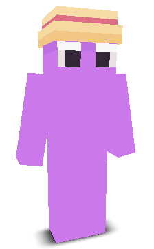 User's Minecraft appearance