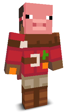 User's Minecraft appearance