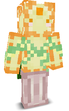 User's Minecraft appearance