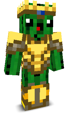 User's Minecraft appearance
