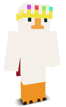 User's Minecraft appearance