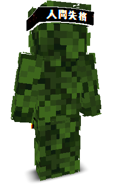 User's Minecraft appearance