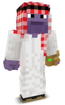 User's Minecraft appearance