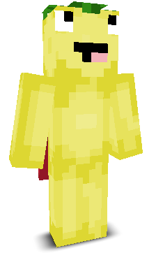 User's Minecraft appearance