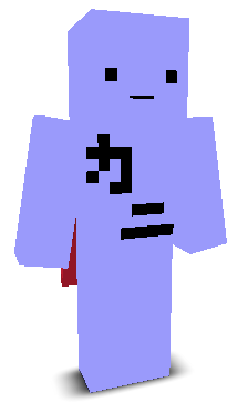 User's Minecraft appearance