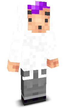 User's Minecraft appearance