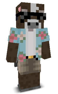 User's Minecraft appearance
