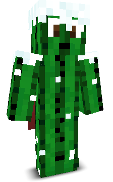 User's Minecraft appearance