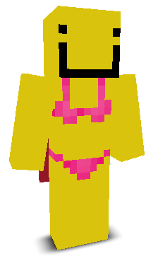 User's Minecraft appearance