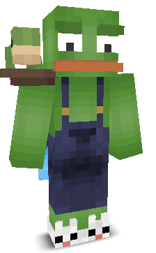 User's Minecraft appearance