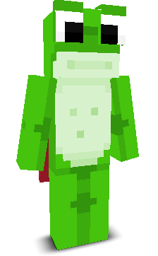 User's Minecraft appearance