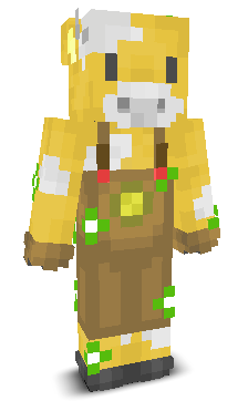 User's Minecraft appearance