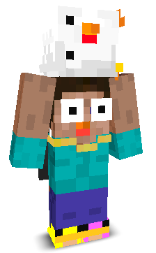 User's Minecraft appearance