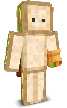 User's Minecraft appearance