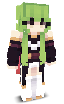 User's Minecraft appearance