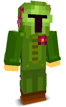 User's Minecraft appearance