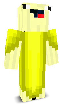 User's Minecraft appearance
