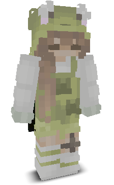 User's Minecraft appearance