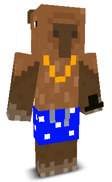User's Minecraft appearance
