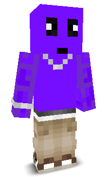 User's Minecraft appearance