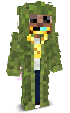 User's Minecraft appearance