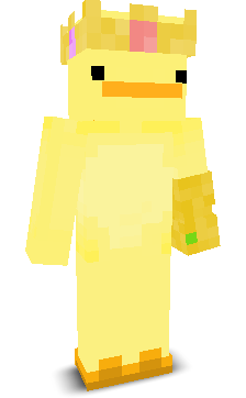 User's Minecraft appearance
