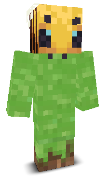 User's Minecraft appearance