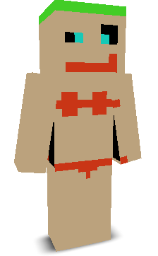 User's Minecraft appearance