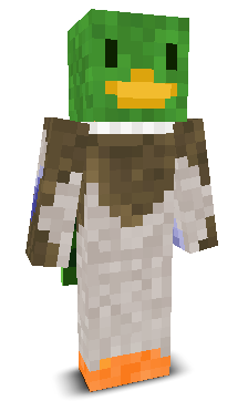 User's Minecraft appearance