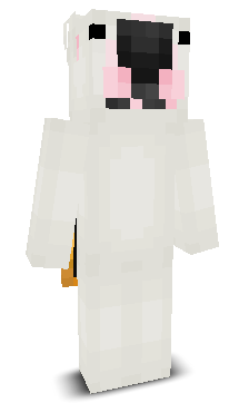 User's Minecraft appearance