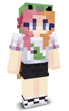 User's Minecraft appearance